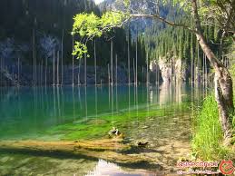 ناشناس چار بیداری